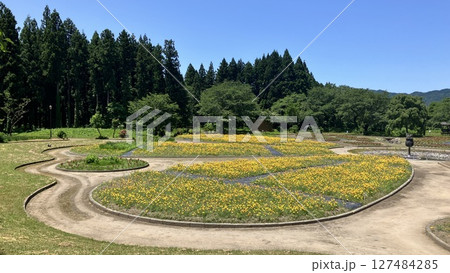 新潟県胎内市 胎内フラワーパーク【2025年6月撮影】 新潟県胎内市 胎内フラワーパーク【2025年6月撮影】 127484285