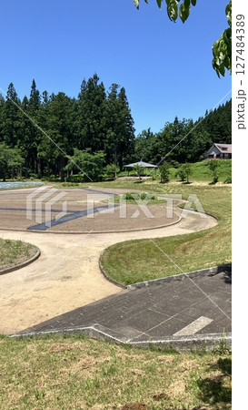 新潟県胎内市　胎内フラワーパーク【2025年6月撮影】 127484389