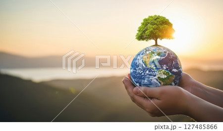 Hands holding earth globe with green tree at sunset symbolizing environmental protection 127485866