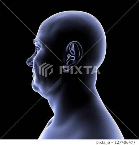 Man's head and neck in silhouette, side view, 3D illustration showing anatomical outline and structural features on a black background. Man's head and neck in silhouette, side view, 3D illustration showing anatomical outline and structural features on a black background. 127486477