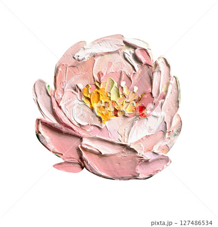 Single pink peony oil painting with thick impasto petals and yellow center for feminine floral print or wall art, design element 127486534
