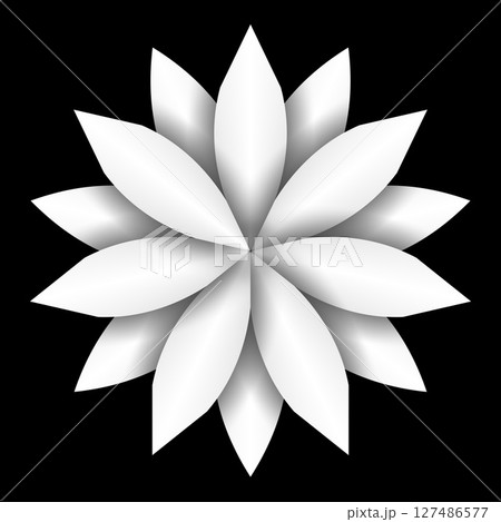 Simple white flower isolated on black background. 127486577