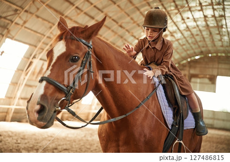 Riding the animal. Cute little girl is with horse indoors 127486815