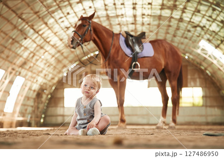 Little baby boy is sitting on the ground with horse indoors Little baby boy is sitting on the ground with horse indoors 127486950
