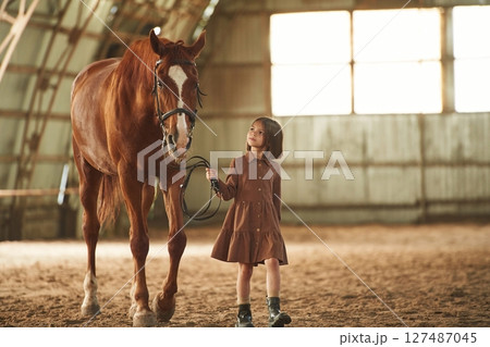 Holding animal, walking together. Cute little girl is with horse indoors 127487045