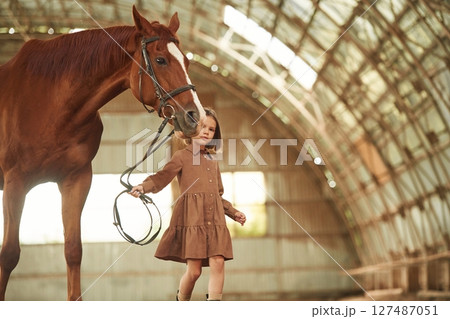 Walking together. Cute little girl is with horse indoors Walking together. Cute little girl is with horse indoors 127487051