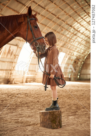 Stands on a stump. Cute little girl is with horse indoors 127487082