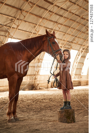 Stands on a stump. Cute little girl is with horse indoors Stands on a stump. Cute little girl is with horse indoors 127487088