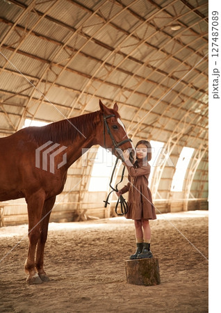 Stands on a stump. Cute little girl is with horse indoors 127487089