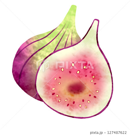 いちじく いちじく 127487622