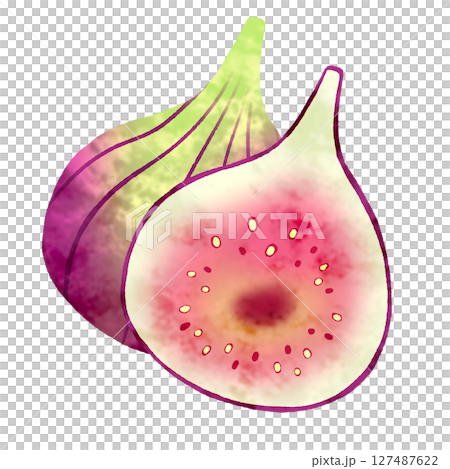 いちじく いちじく 127487622