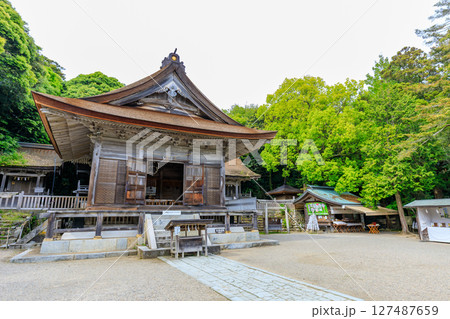 初夏の能登國一宮 氣多大社 石川県羽咋市 初夏の能登國一宮 氣多大社 石川県羽咋市 127487659