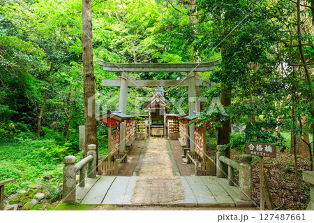 初夏の能登國一宮 氣多大社　菅原神社　石川県羽咋市 127487661
