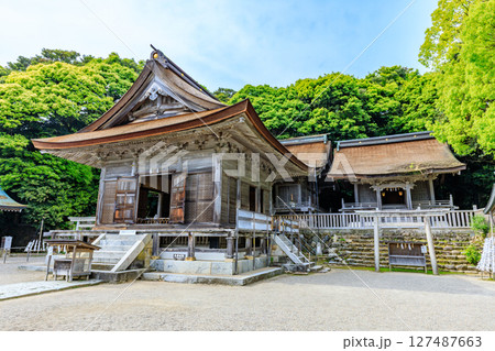 初夏の能登國一宮 氣多大社　石川県羽咋市 127487663