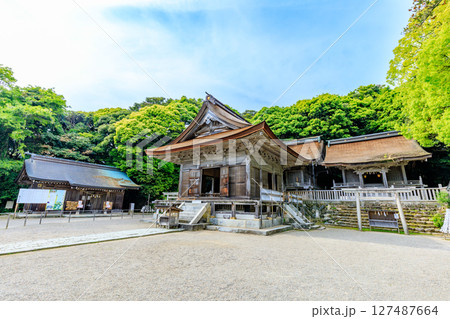 初夏の能登國一宮 氣多大社　石川県羽咋市 127487664