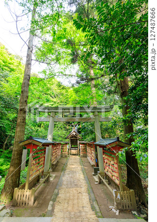 初夏の能登國一宮 氣多大社　菅原神社　石川県羽咋市 127487666