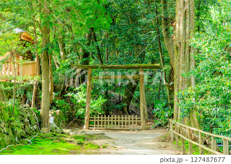 初夏の能登國一宮 氣多大社　入らずの森　石川県羽咋市 127487677