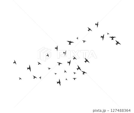 Bird Logo Template 127488364