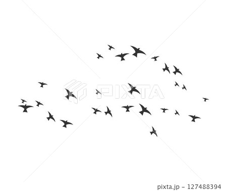 Bird Logo Template Bird Logo Template 127488394