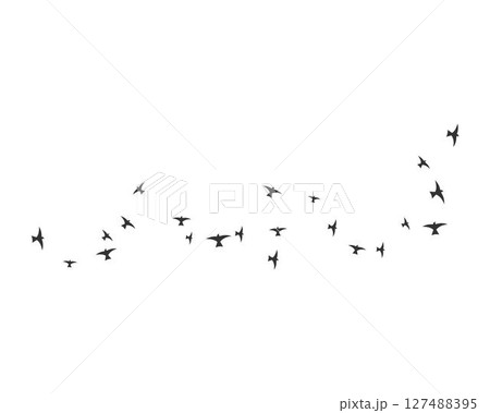 Bird Logo Template 127488395