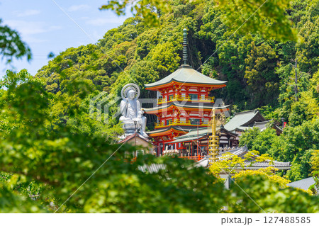 【奈良県】信貴山 朝護孫子寺 (2025/06/18 撮影) 127488585