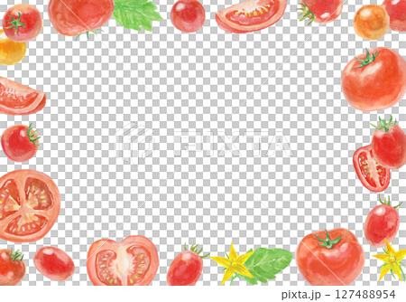 Tomato background painted with watercolors 127488954