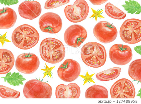水彩絵の具で描いたトマト背景 127488958