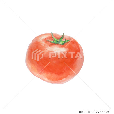 水彩絵の具で描いたトマト 127488961