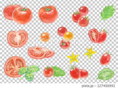 Tomato set painted with watercolors 127488991