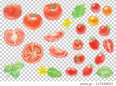 水彩絵の具で描いたトマトセット 127489001