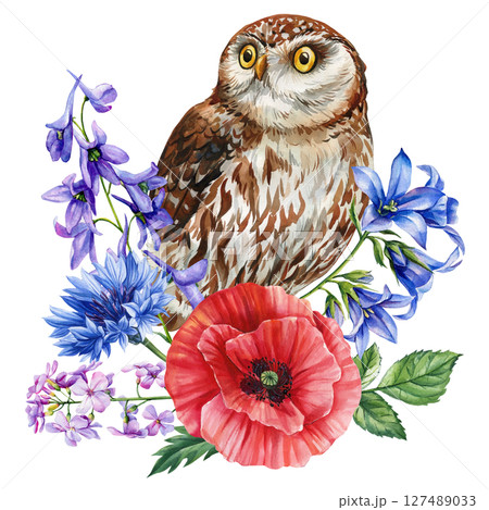 Little brown owl with red poppy wild blue flowers watercolor illustration for woodland nursery prints spring decor and stationery 127489033
