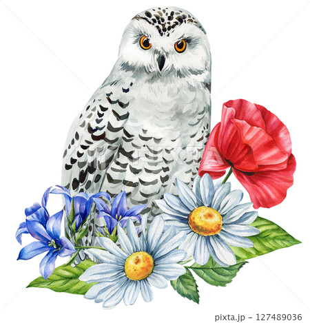 White snowy owl with red poppy and blue wildflowers watercolor painting forest animal art prints nursery decor and seasonal cards White snowy owl with red poppy and blue wildflowers watercolor painting forest animal art prints nursery decor and seasonal cards 127489036