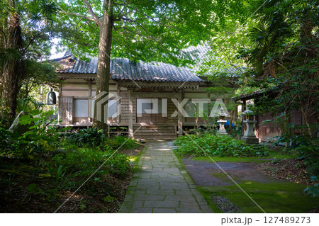 佐渡島　宿根木　称光寺の本堂 127489273