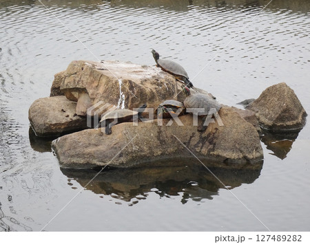 旧赤穂城庭園（二之丸庭園）　　兵庫県赤穂市 127489282