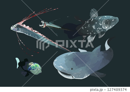 深海魚イラストセット、背景 127489374