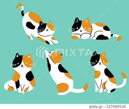 三毛猫の色んなポーズシンプルかわいいイラストセット 127489520