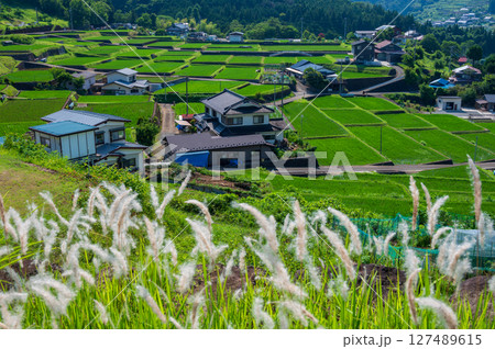 夏の棚田風景　上野原市秋山村　富岡の棚田 127489615