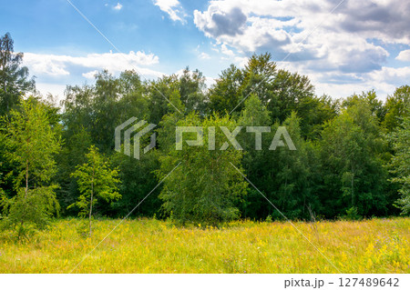 landscape with forest on the hill in summer. scenic view of blooming alpine pasture. vacation season in european countryside. sunny day. pastoral place in deciduous woodland 127489642