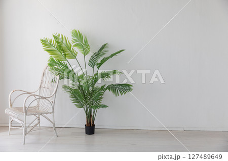 White wicker vintage armchair in the interior of a room with a green plant 127489649