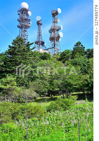 御坂山地 夏の三ツ峠山 御巣鷹山 御坂山地 夏の三ツ峠山 御巣鷹山 127489774