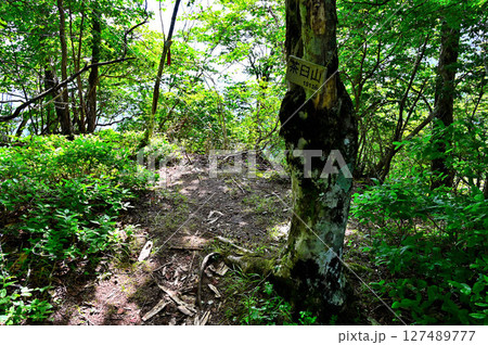 夏の御坂山地 茶臼山の山頂 夏の御坂山地 茶臼山の山頂 127489777