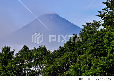 御坂山地の木無山より望む 雲わく夏富士山 御坂山地の木無山より望む 雲わく夏富士山 127489875
