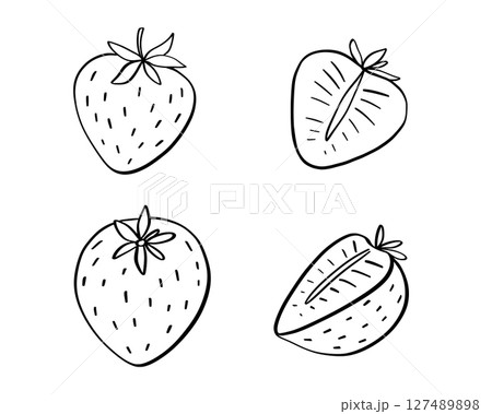 Strawberry vector doodle illustration, half of berry outline sketch, hand drawn icon of summer food 127489898