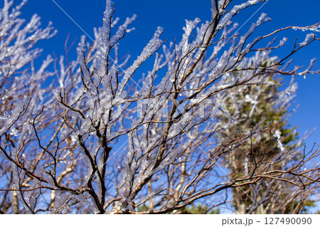 青空と樹氷　蓼科山山頂にて 127490090