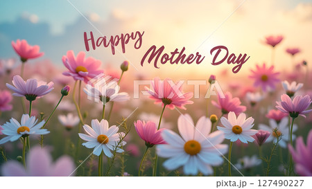 Celebrating Mother's Day with a Field of Daisies in Soft Morning Light 127490227