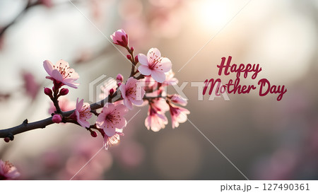 Beautiful cherry blossom branch with 'Happy Mother's Day' message in soft light 127490361