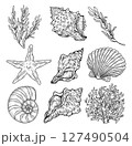Set of different sea shells, corals and starfishes. Hand-drawn vector illustration 127490504