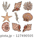 Set of different sea shells, corals and starfishes. Hand-drawn vector illustration 127490505