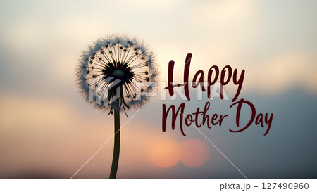 Dandelion silhouette with happy mother's day message against a sunset background 127490960