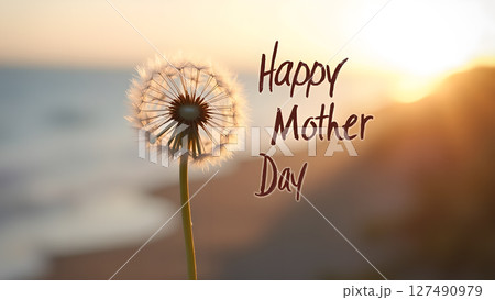Dandelion at sunset with Happy Mother's Day text symbolizing love and appreciation 127490979
